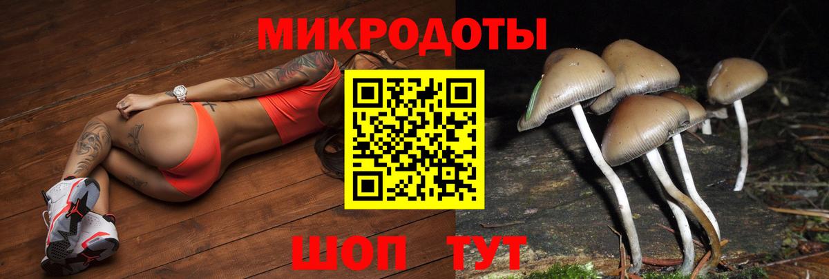 Галлюциногенные грибы GOLDEN TEACHER Ялта